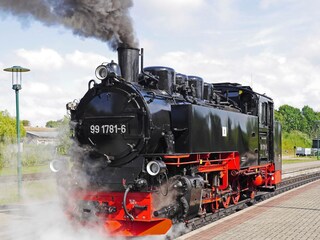Der rasende Roland