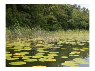 Ferienwohnung Fürstenberg/Havel Umgebung 21