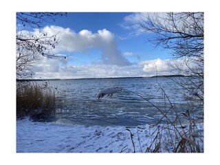 Fleesensee Winterromantik