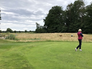 Golf & Natur