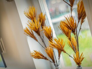 Appartamento per vacanze Westerland Caratteristiche 23