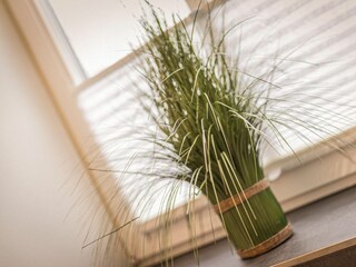 Apartamento de vacaciones Westerland Características 28
