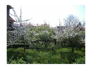 Appartamento per vacanze Arnstadt Registrazione all'aperto 4