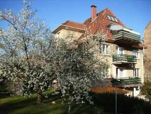 Alice's Vakantieappartement 2 - Arnstadt - image1