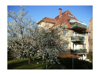 Apartamento de vacaciones Arnstadt Grabación al aire libre 5