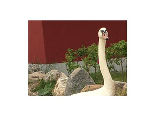 Casa per le vacanze Kramerhof Ambiente 31