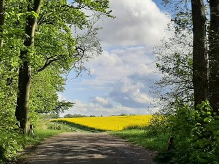 Casa per le vacanze Kramerhof Ambiente 37