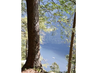 Der Königssee von oben