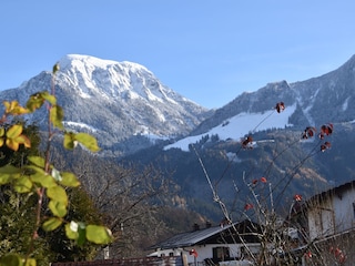 Natur Pur