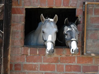 Holiday house Waischenfeld Outdoor Recording 5