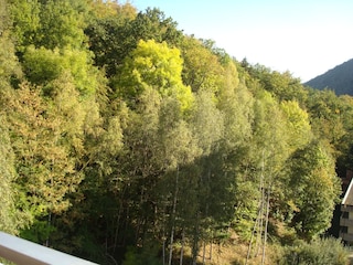 Blick vom Balkon in die Harzer Wälder