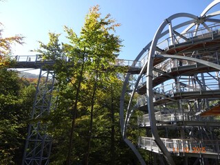 Baumwipfelpfad in Bad Harzburg