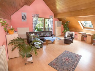 Apartamento de vacaciones Hochstadt Características 9