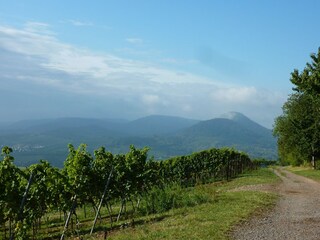 Apartamento de vacaciones Hochstadt Entorno 19