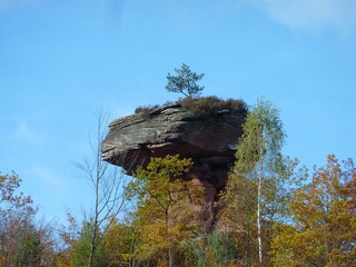 Apartamento de vacaciones Hochstadt Entorno 24