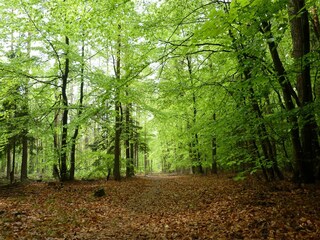 Apartamento de vacaciones Hochstadt Entorno 25