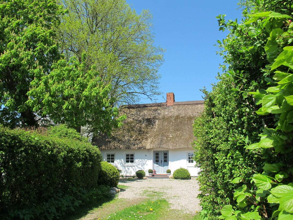 Willkommen in "HOLLERBUSCH"