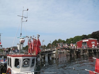 Idyllisch - der Hafen von Eckernförde in der Nähe