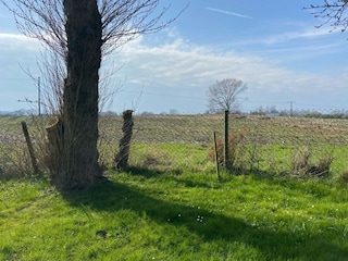 Garten mit Weitblick