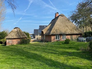 Blick aus dem Garten Richtung Osten