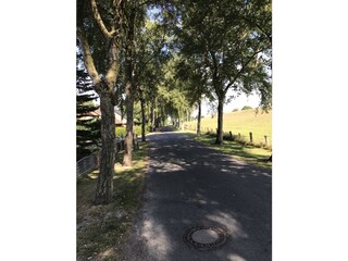 Birkenweg