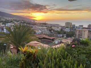 sundowner at bar albertos
