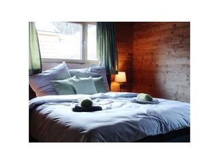 Appartamento Bludenz Caratteristiche 15