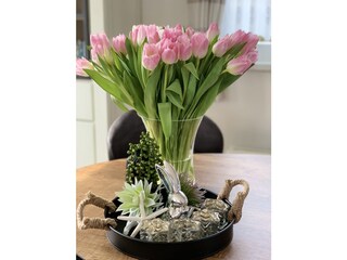 Vakantiehuis Julianadorp Kenmerken 14