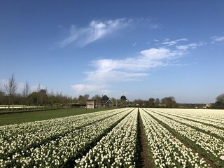 Vakantiehuis Egmond aan Zee Omgeving 23