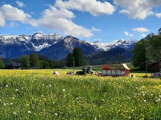 Hofaussicht mit Tiroler Alpen..im Mai