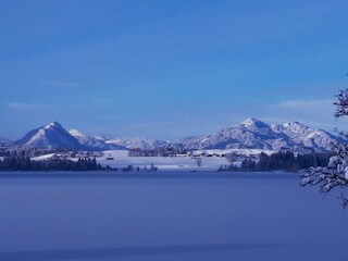 Blick über den Hopfensee auf unser Zuhause (mitte)
