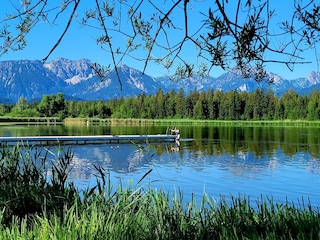Unsere idyll. Seenlandschaft mit herrl. Uferrundwegen..