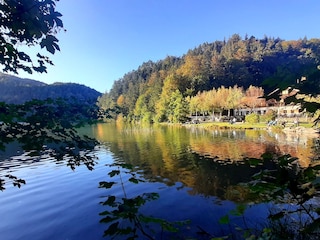 Herrl. Alpen&Seen mit wunderschönen Uferrundwegen...