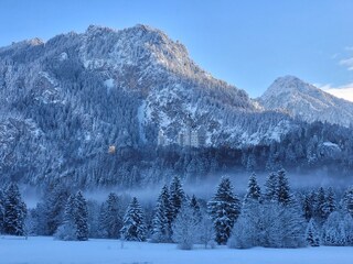 Ludwig's Märchenschloss Neuschwanstein