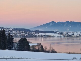 Blick vom Hof auf den Hopfensee...