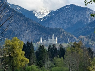 April Aussicht auf Schloss Neuschwanstein..