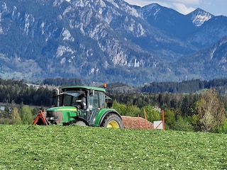 Heuernte mit Blick auf Schloss Neuschwanstein