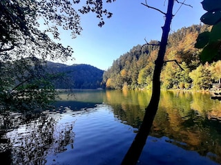 Traumhafte Uferrundwege in herrl. Seenlandschaft