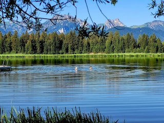Gleich Morgens, ein frühes Bad im Hopfensee...