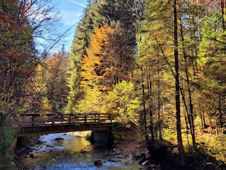 Indian Summer im Allgäu