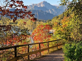 Goldener Oktober am Forggenstausee