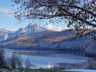 Einfach schön, der erste Frost und Schnee im November