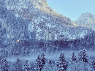 Winterwunderland und Märchenschloss Neuschwanstein