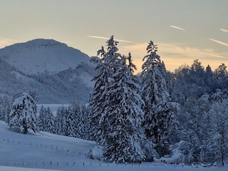 Wintermärchen vor an unserem Haus...