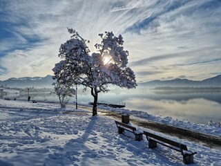 Frostig schön in Hopfen am See, herrl. Alpenblick...