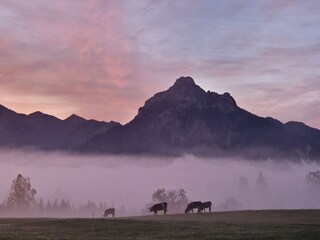 Ein Novembermorgen vor unserer Haustür..