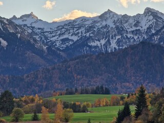 ...so sieht es jetzt gerade bei uns aus..28.10.25