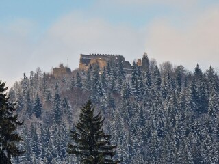 Eisenberger Burgruinen "Eisenberg & Hohenfreyberg