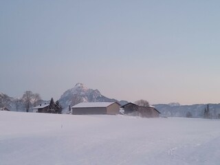 Unsere kleine Farm...ruhe pur..und die Berge so nah..