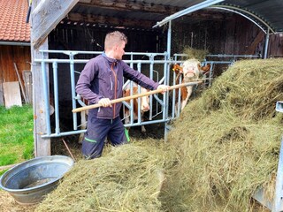 Kinder lieben es, bei der Hofarbeit zu helfen..
